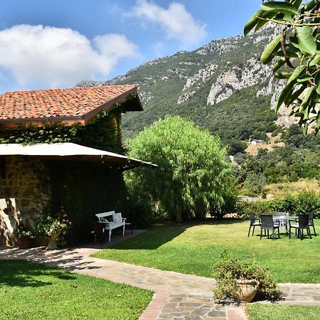 Country House Felicia Giungano Exterior foto